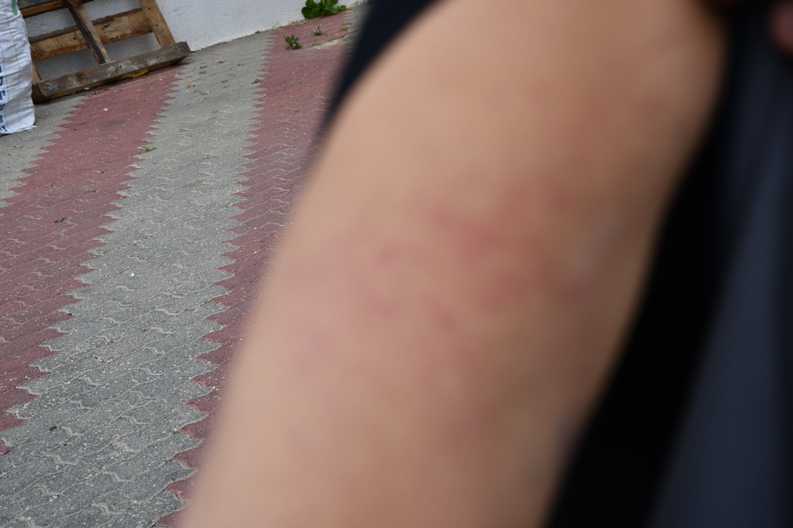 WhatsApp Image 2020-02-23 at 6.12.11 PM (1).jpeg.jpeg